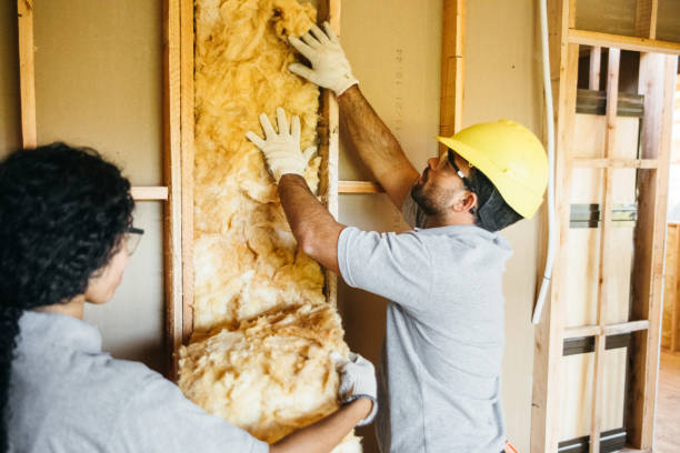 Best Crawl Space Insulation  in Essex, MD