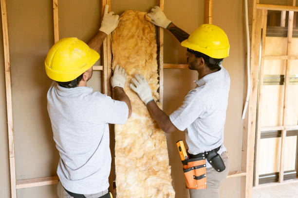 Best Energy-efficient Insulation  in Essex, MD